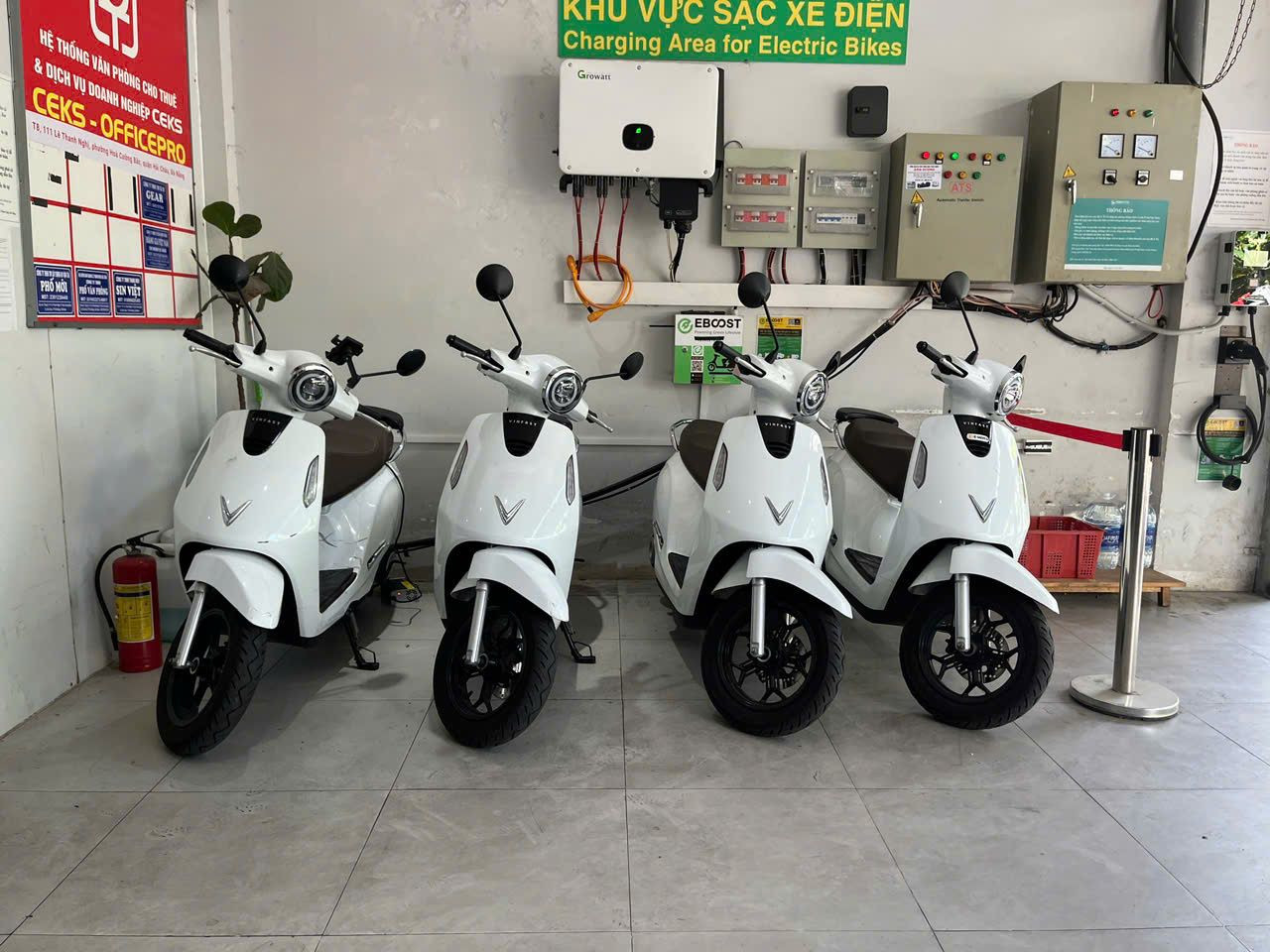 Explosion of Electric Motorcycle Rental Trends in Da Nang: Summary of 5 Major News in the Last 24h